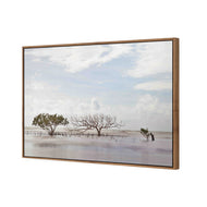 Mellow Mangroves