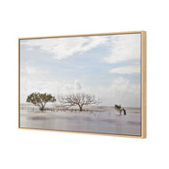 Mellow Mangroves