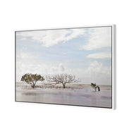 Mellow Mangroves