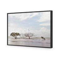 Mellow Mangroves