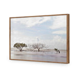 Mellow Mangroves