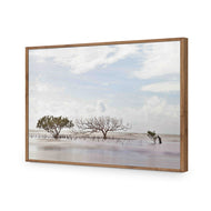 Mellow Mangroves