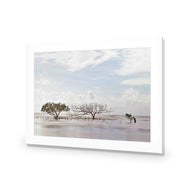 Mellow Mangroves