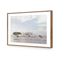 Mellow Mangroves