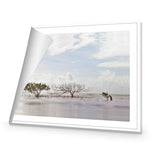 Mellow Mangroves