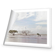 Mellow Mangroves