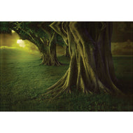 Fantasy Forest