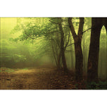 Lost World