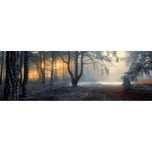 Winter Forest Pond