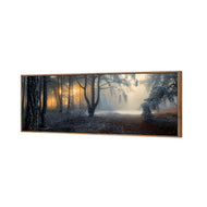 Winter Forest Pond