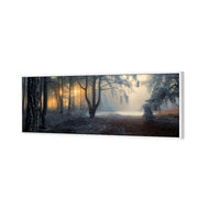 Winter Forest Pond