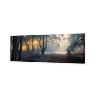 Winter Forest Pond