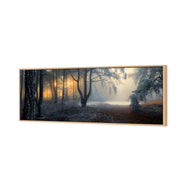 Winter Forest Pond