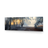Winter Forest Pond