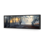 Winter Forest Pond