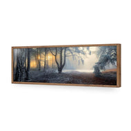 Winter Forest Pond