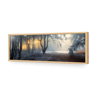 Winter Forest Pond