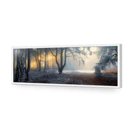 Winter Forest Pond