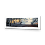 Winter Forest Pond