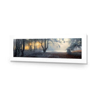 Winter Forest Pond