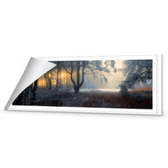 Winter Forest Pond