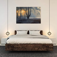 Winter Forest Pond