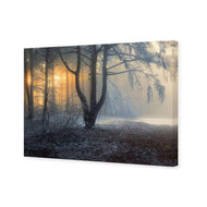 Winter Forest Pond
