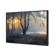 Winter Forest Pond