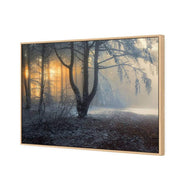 Winter Forest Pond