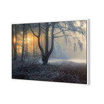 Winter Forest Pond
