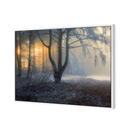 Winter Forest Pond