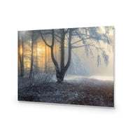 Winter Forest Pond