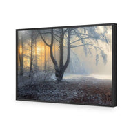 Winter Forest Pond