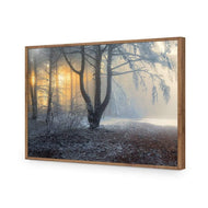 Winter Forest Pond