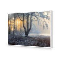 Winter Forest Pond