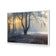 Winter Forest Pond