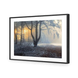 Winter Forest Pond
