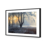 Winter Forest Pond