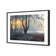 Winter Forest Pond