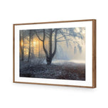 Winter Forest Pond