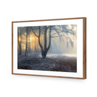 Winter Forest Pond
