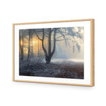 Winter Forest Pond