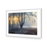 Winter Forest Pond