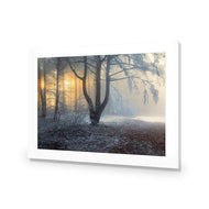 Winter Forest Pond