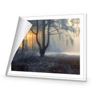 Winter Forest Pond