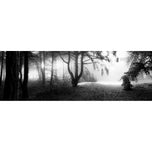 Winter Forest Pond BW