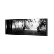 Winter Forest Pond BW