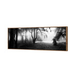Winter Forest Pond BW