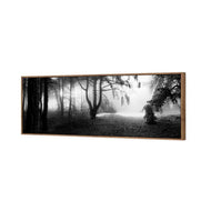 Winter Forest Pond BW