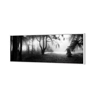 Winter Forest Pond BW